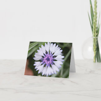 Nature’s Touch - Voeux et Carte de remerciements b