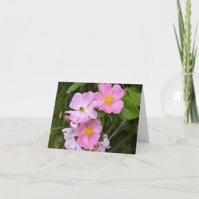 Nature’s Touch - Voeux et Carte de remerciements b (Devant)