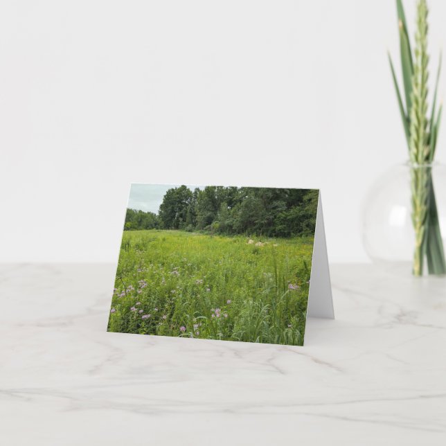 Nature’s Touch - Voeux et Carte de remerciements b (Devant)