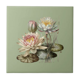 Nature Style Eau Lily Carreaux de céramique
