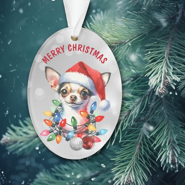 Naughty Père Noël Chihuahua dans les décorations (Créateur téléchargé)