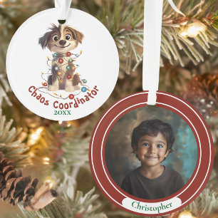 Naughty Puppy Chaos Coordinateur Ornement