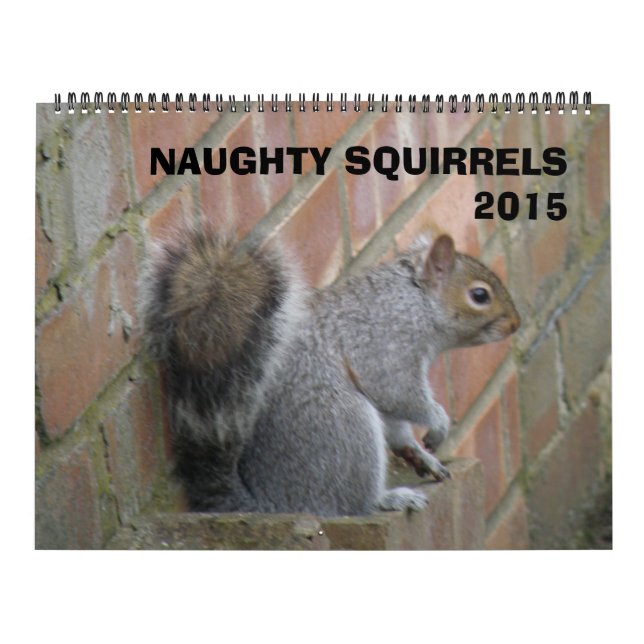 Naughty Squirrels 2015 Calendrier (Protection)