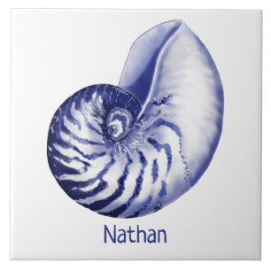 Nautilus bleu et blanc avec carreaux céramiques de