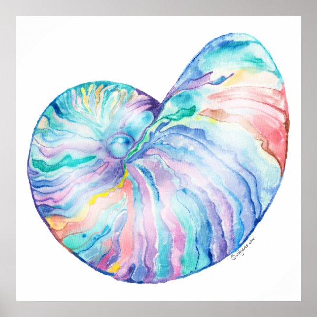 Nautilus Infinity Fine Art Print and Poster (Devant)
