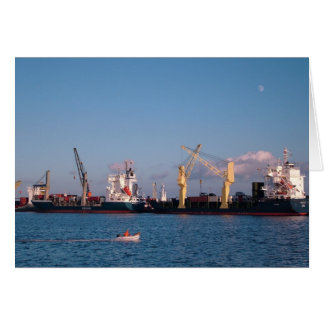 Navires de fret