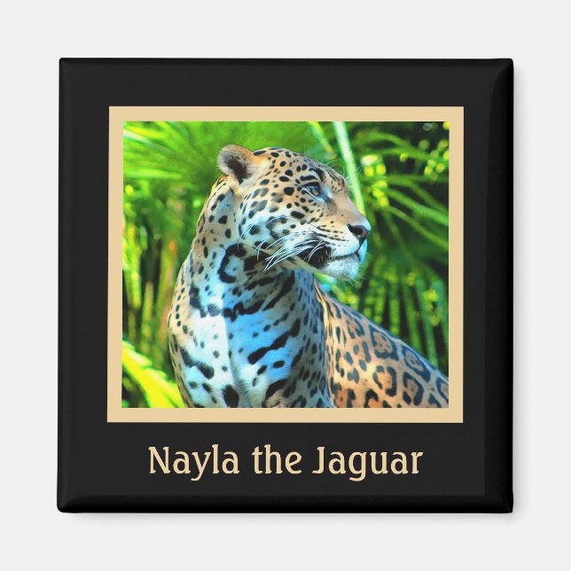 Nayla le aimant Jaguar (Devant)