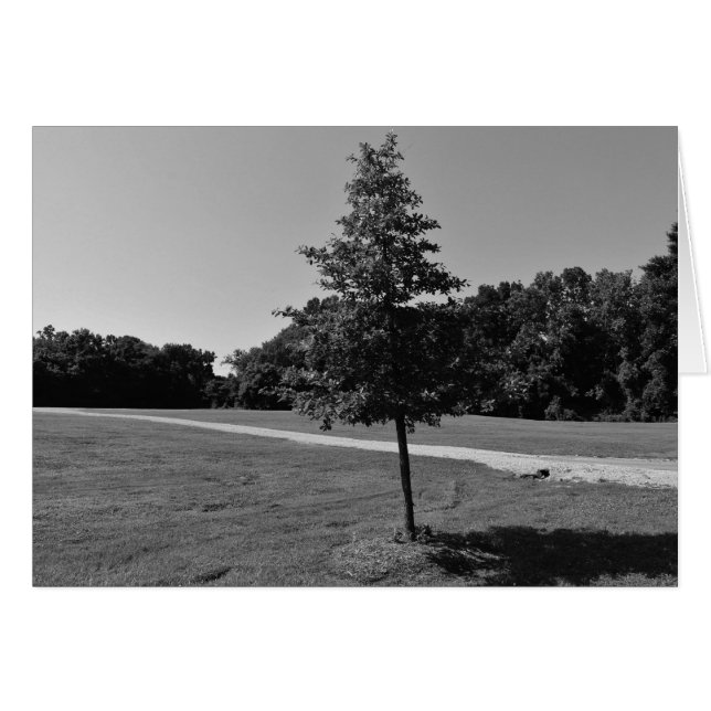 NC / Noir, carte (Devant horizontal)