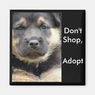 Ne faites pas des emplettes adoptent ! magnet de