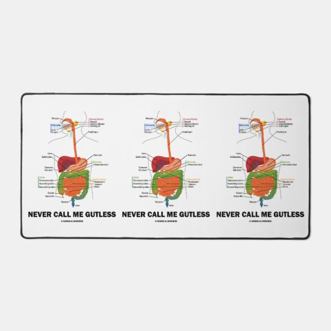 Ne jamais m'appeler Gutless Digestive Système Geek (Recto)