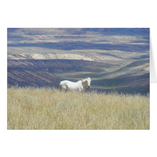 Né Libre Cheval Mustang Wild (Devant horizontal)