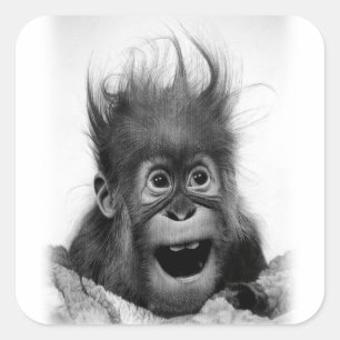 NE PANIQUE PAS ! Sticker carré