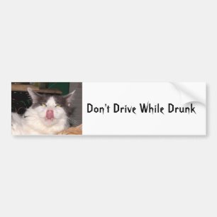 Ne pas conduire ivre Funny chat Bumper Sticker