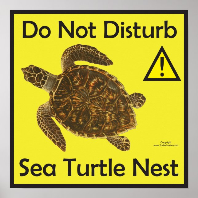 Ne pas déranger la tortue de mer affiche de nid (Devant)