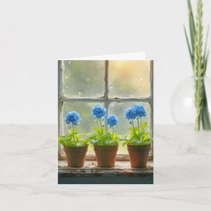 Ne pas oublier les pots de fleurs dans une fenêtre