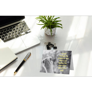 Ne Pas Se Sentir Comme Votre Carte Super Héros Sel