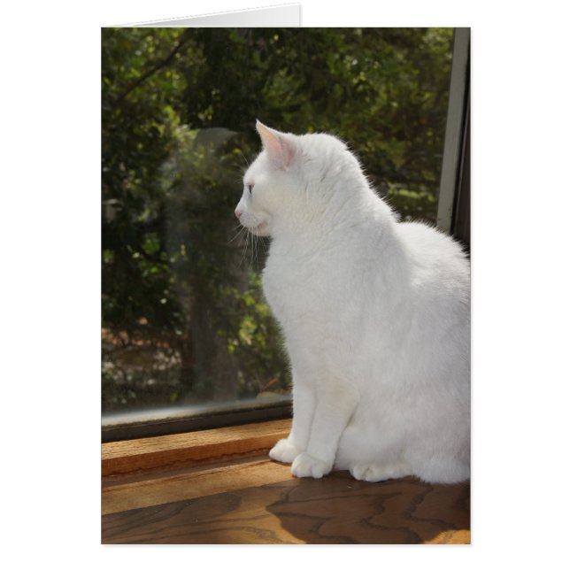 Ne peut pas attendre pour vous voir (Devant)