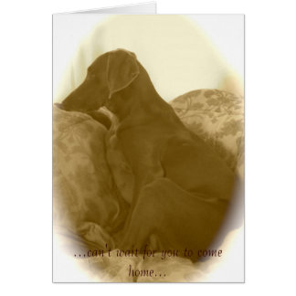 … ne peut pas vous attendre pour venir à la