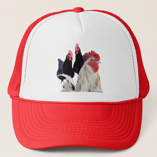 Né Pour Être Des Poulets, Casquette De Camions De  (Devant)
