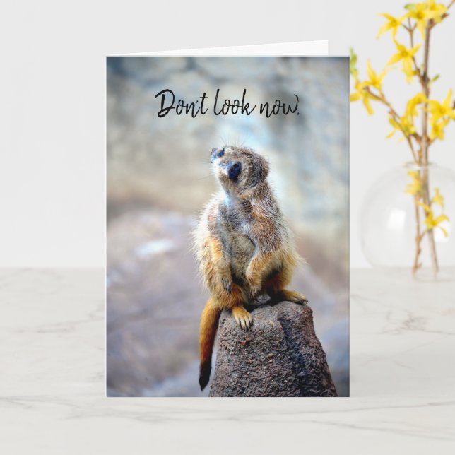 Ne regardez pas maintenant - Carte d'anniversaire (Fleur jaune)