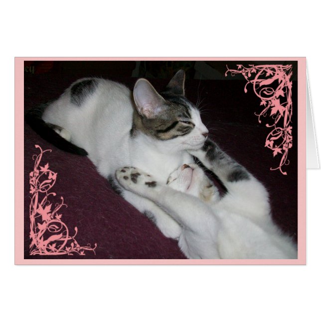 Ne soyez pas un étranger (Devant horizontal)