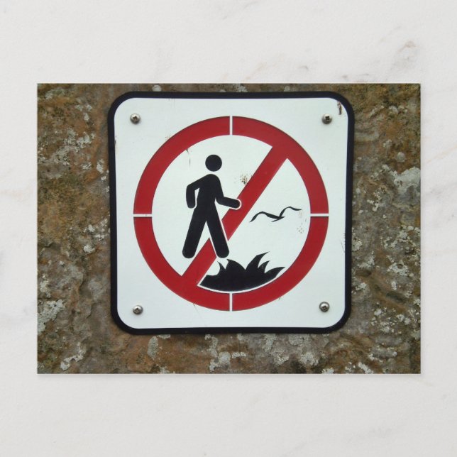 Ne tombez pas de la carte postale Cliff (Devant)