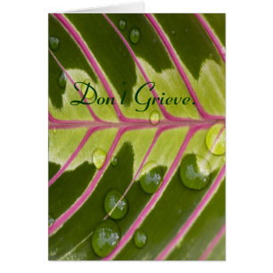 Ne vous affligez pas