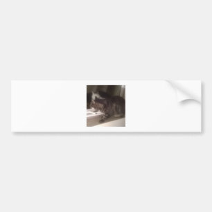 Ne vous parlez pas Dave Bumper Sticker