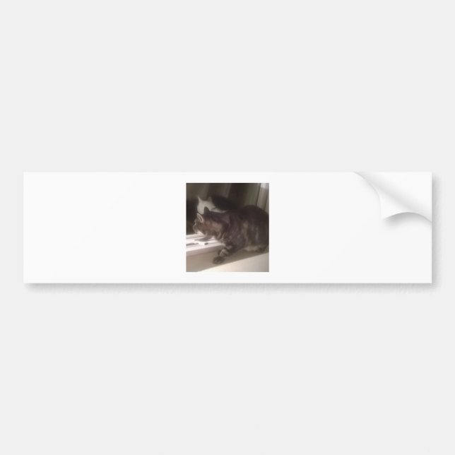 Ne vous parlez pas Dave Bumper Sticker (Devant)