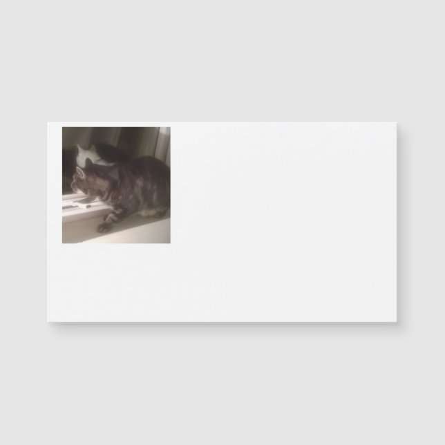 Ne vous parlez pas Dave Cartes de visite magnétiqu (Devant)