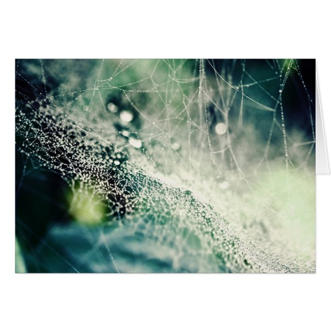 Nebula (Devant horizontal)