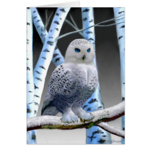NEIGE À OEIL BLEU