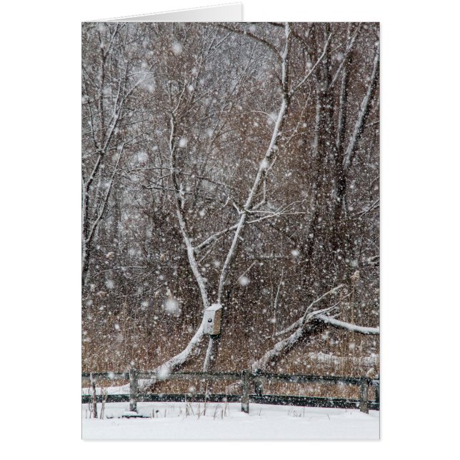 Neige au parc (Devant)