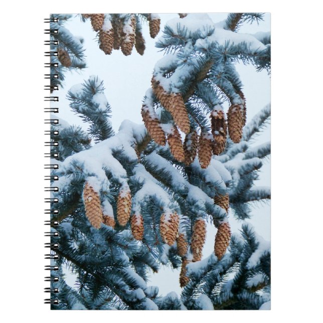Neige dans le Carnet des Pins (Devant)