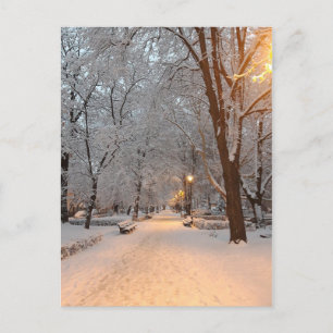 Neige d'hiver dans la carte de vacances de parc