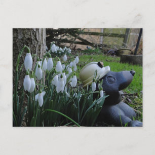 neige et carte postale