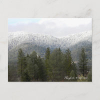 Neige fraîche en poudre.... Carte postale