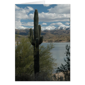 NEIGE SUR LES POINTS