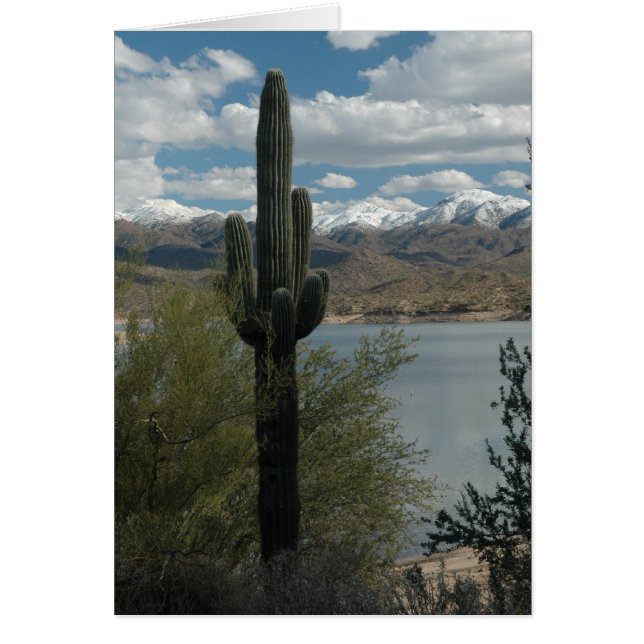 NEIGE SUR LES POINTS (Devant)