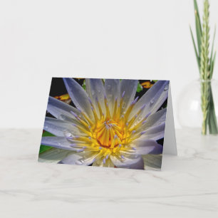 Nénuphar avec la carte de sympathie de prière
