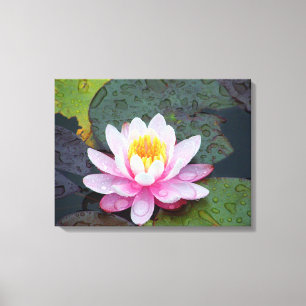 Nénuphar avec la copie de toile étirée par gout