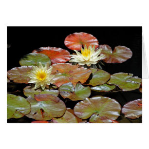NÉNUPHAR II