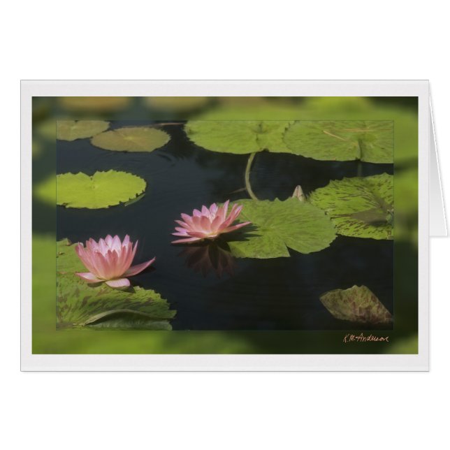 Nénuphar rose - Customisé (Devant horizontal)