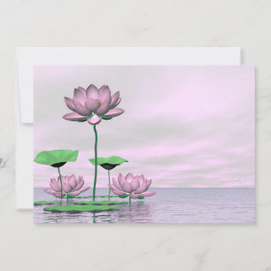 Nénuphars roses et fleurs de lotus - rendu 3D