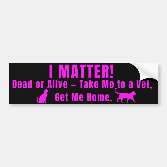 Neon Pink "I Matter" Bumper Sticker (Devant)