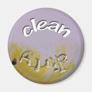 Nettoyez/plat sale - aimant de lave-vaisselle