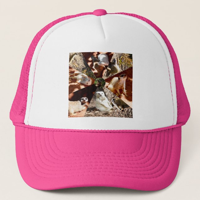 Neuf Triangles Meerkat, Casquette de camions (Devant)