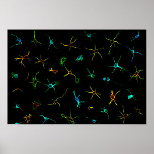 NeuroGalaxy Poster