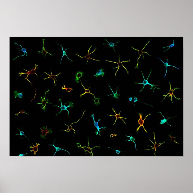 NeuroGalaxy Poster (Devant)
