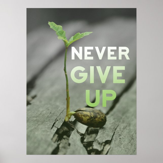 Never Give up Poster (Devant)